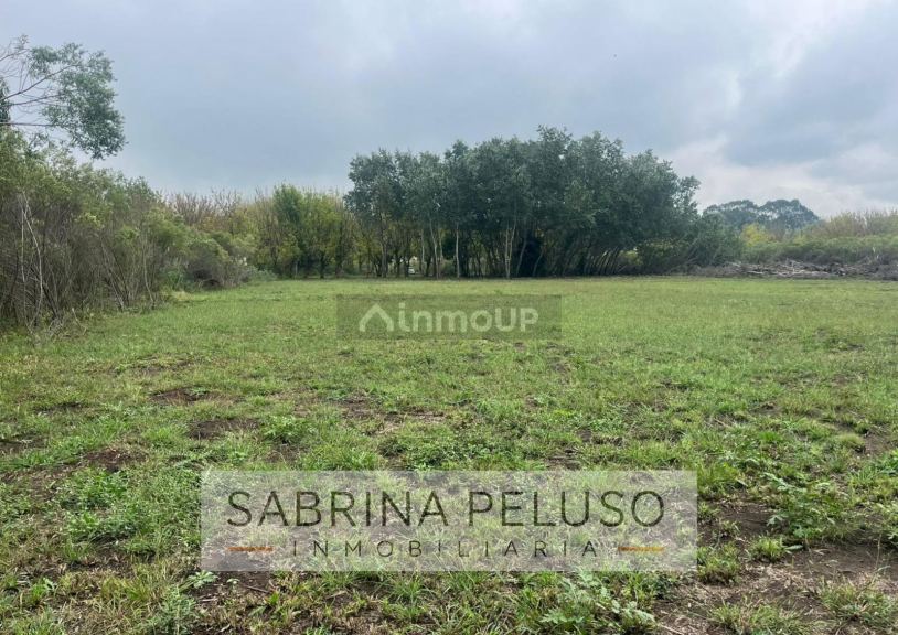 Terreno en Venta en Moreno, G.B.A. Zona Oeste