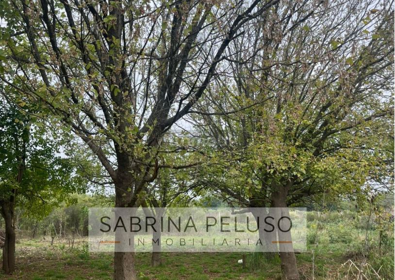 Terreno en Venta en Moreno, G.B.A. Zona Oeste