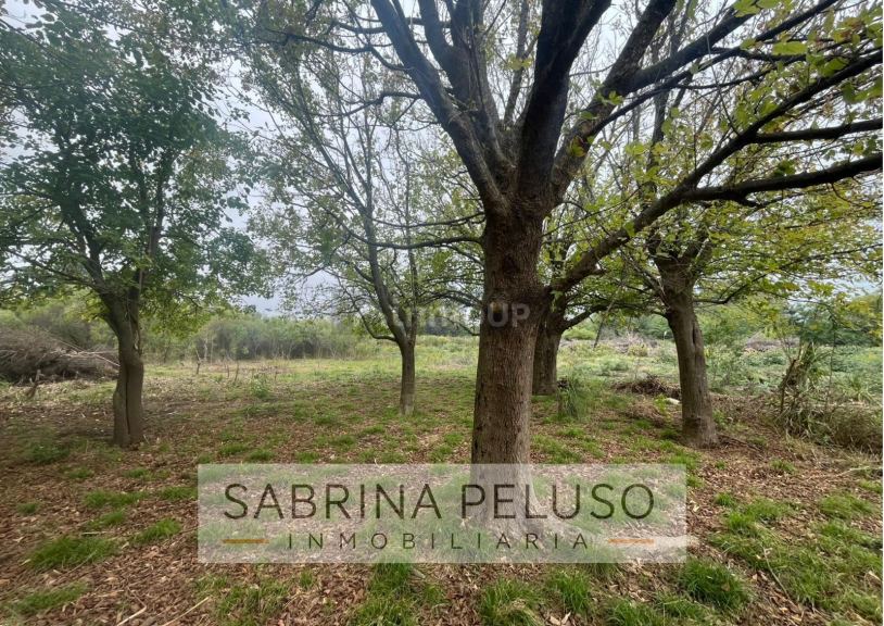 Terreno en Venta en Moreno, G.B.A. Zona Oeste