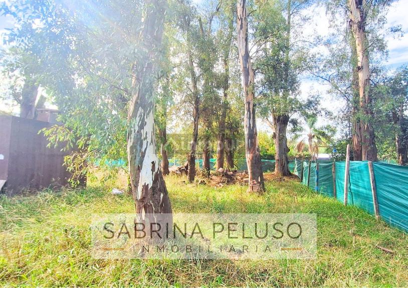 Terreno en Venta en Moreno, G.B.A. Zona Oeste