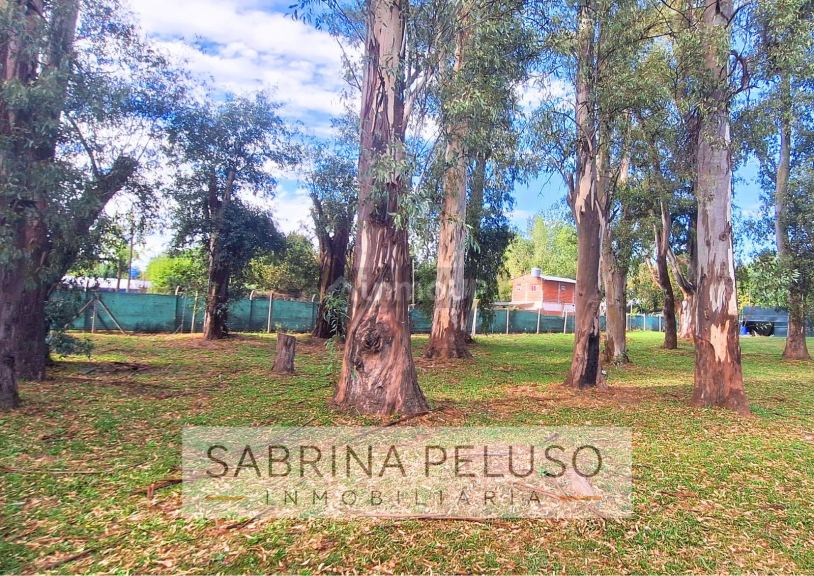 Terreno en Venta en Moreno, G.B.A. Zona Oeste