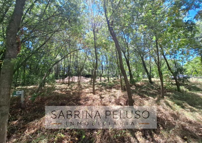 Terreno en Venta en Moreno, G.B.A. Zona Oeste