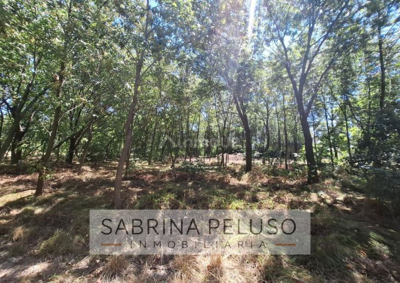 Terreno en Venta en Moreno, G.B.A. Zona Oeste