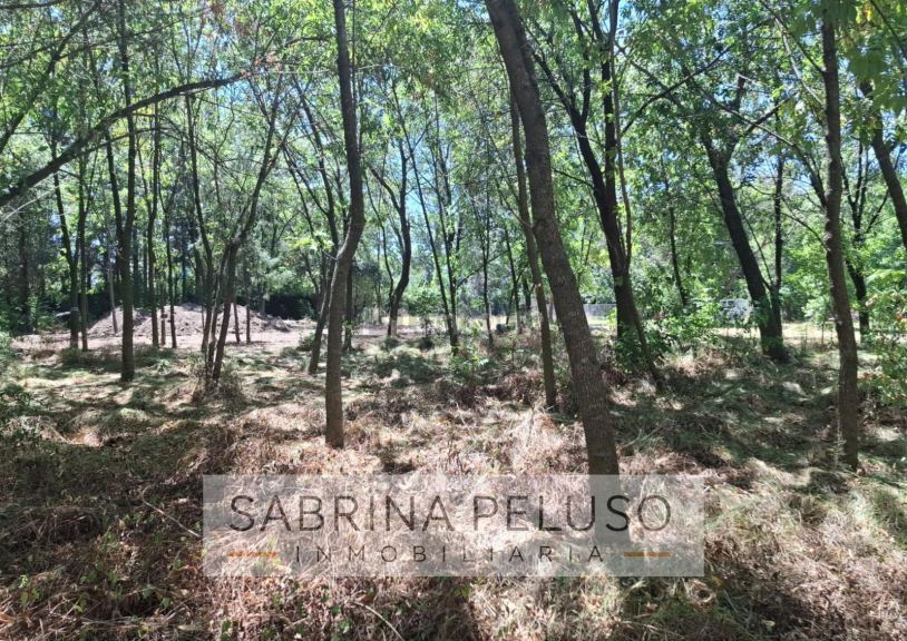 Terreno en Venta en Moreno, G.B.A. Zona Oeste
