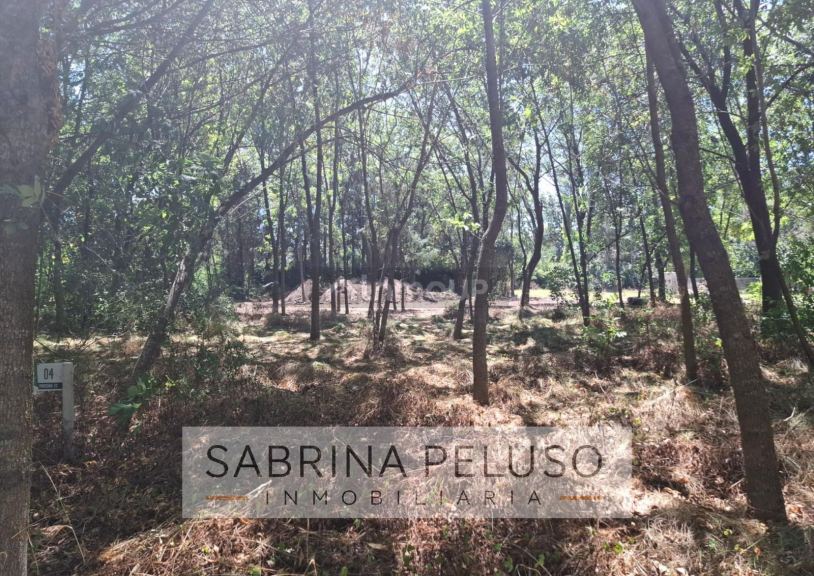 Terreno en Venta en Moreno, G.B.A. Zona Oeste