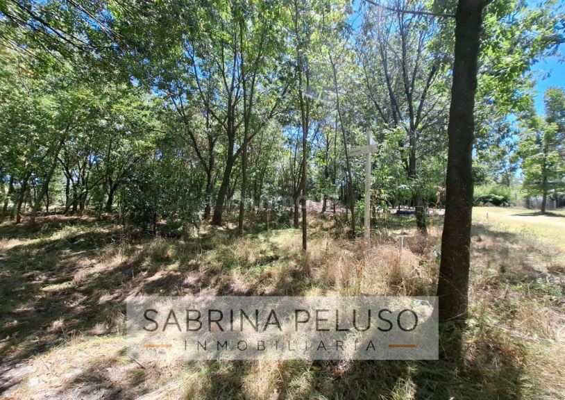 Terreno en Venta en Moreno, G.B.A. Zona Oeste