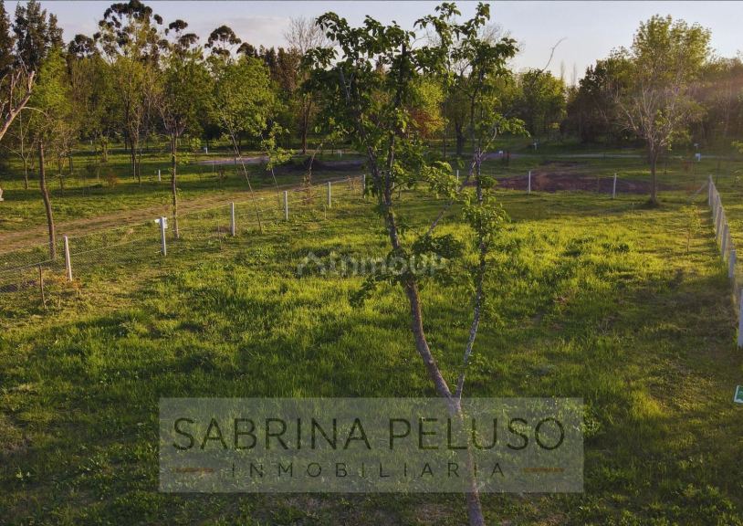 Terreno en Venta en Moreno, G.B.A. Zona Oeste