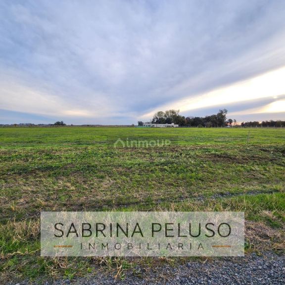 Terreno en Venta en General Rodriguez, G.B.A. Zona Oeste