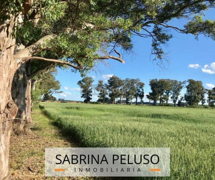 Terreno en Venta en General Rodriguez, G.B.A. Zona Oeste