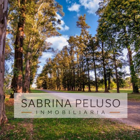 Terreno en Venta en General Rodriguez, G.B.A. Zona Oeste