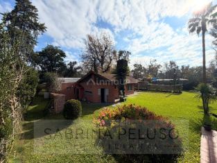 Moreno Anatole France al 1500