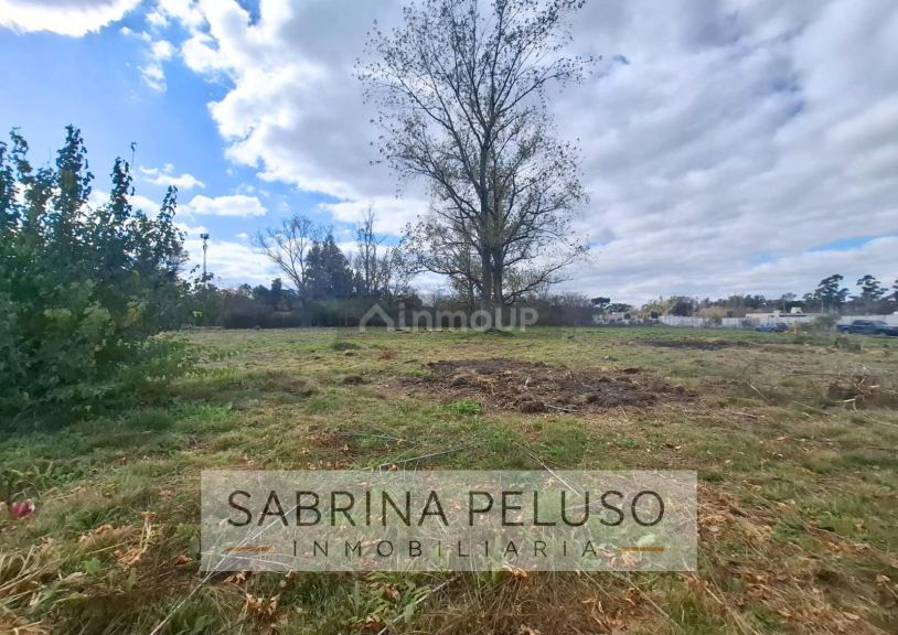 Terreno en Venta en Moreno, G.B.A. Zona Oeste