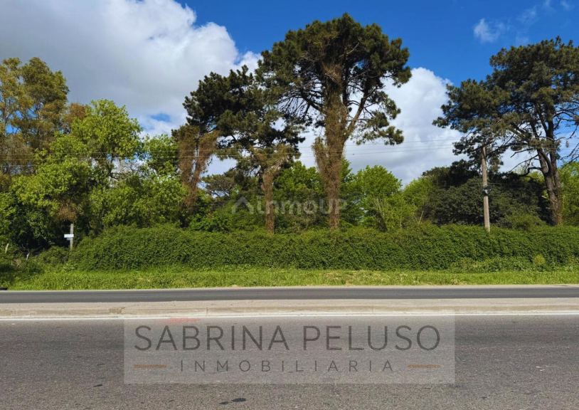 Terreno en Venta en Moreno, G.B.A. Zona Oeste