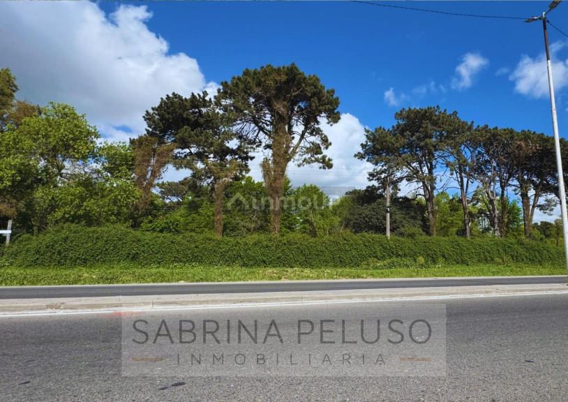 Terreno en Venta en Moreno, G.B.A. Zona Oeste