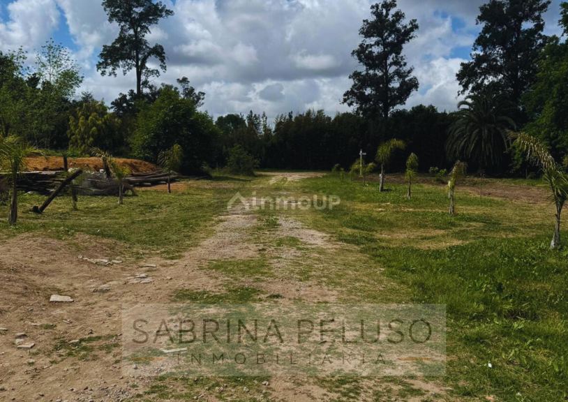 Terreno en Venta en Moreno, G.B.A. Zona Oeste