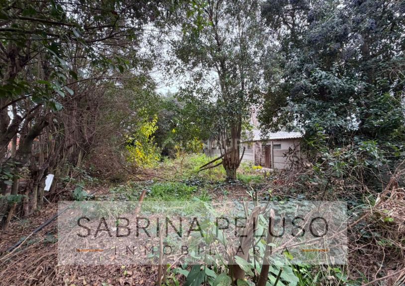 Terreno en Venta en Merlo, G.B.A. Zona Oeste