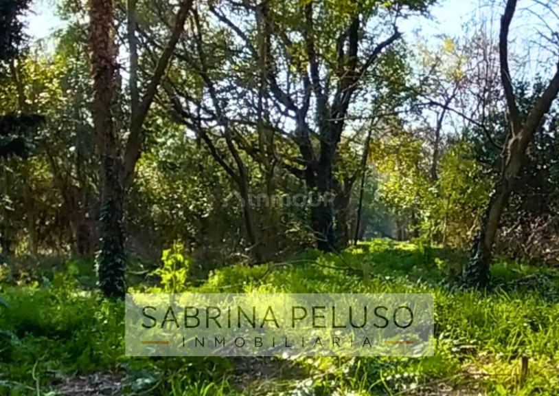 Terreno en Venta en Moreno, G.B.A. Zona Oeste