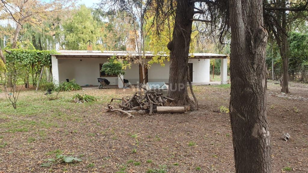 Campo en Venta en Tunuyan, Mendoza