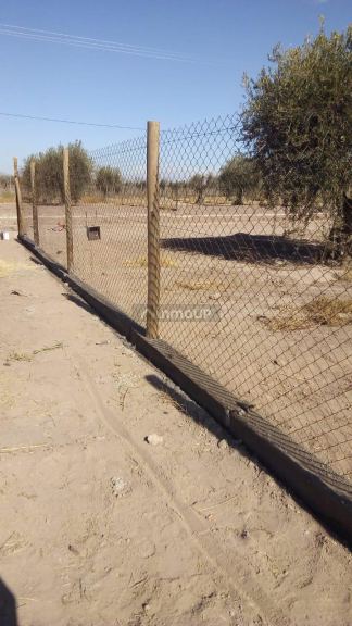 Lote en Venta en Maipu, Mendoza