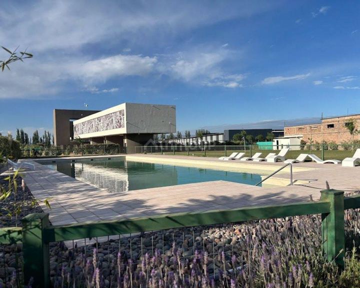 Lote en Venta en Lujan de Cuyo, Mendoza