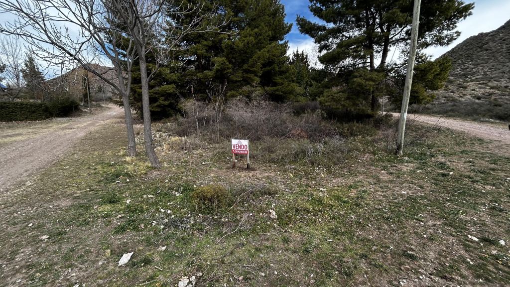Lote en Venta en Tunuyan, Mendoza