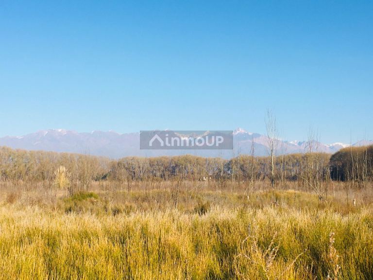 Lote en Venta en Tunuyan, Mendoza
