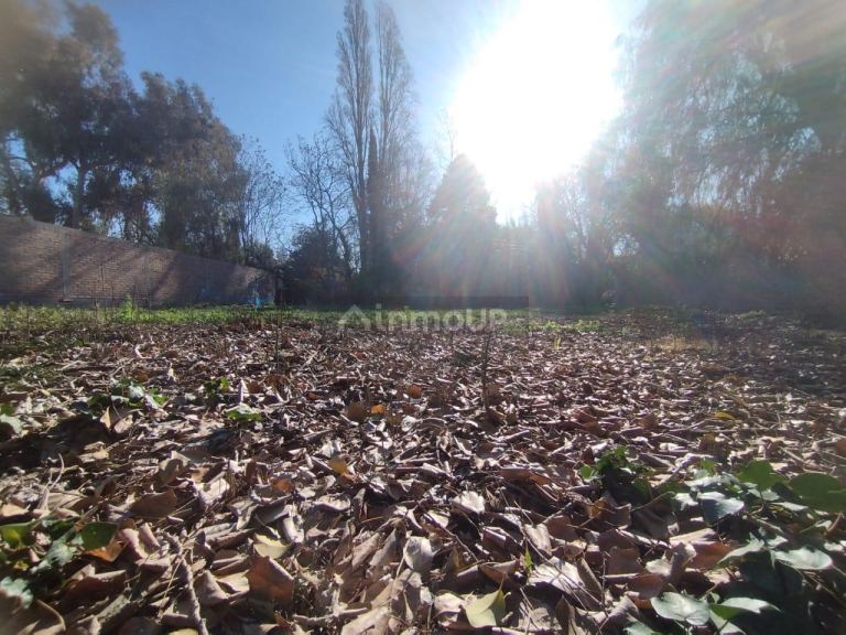 Lote en Venta en Lujan de Cuyo, Mendoza
