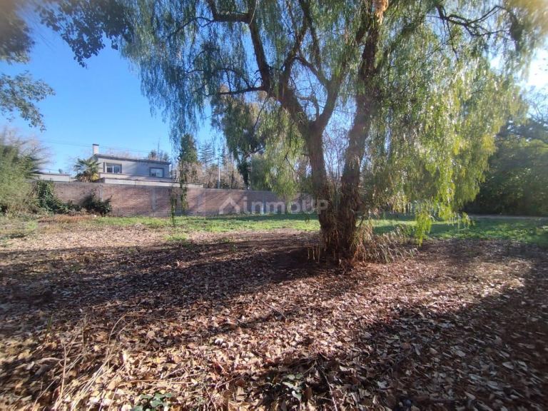 Lote en Venta en Lujan de Cuyo, Mendoza