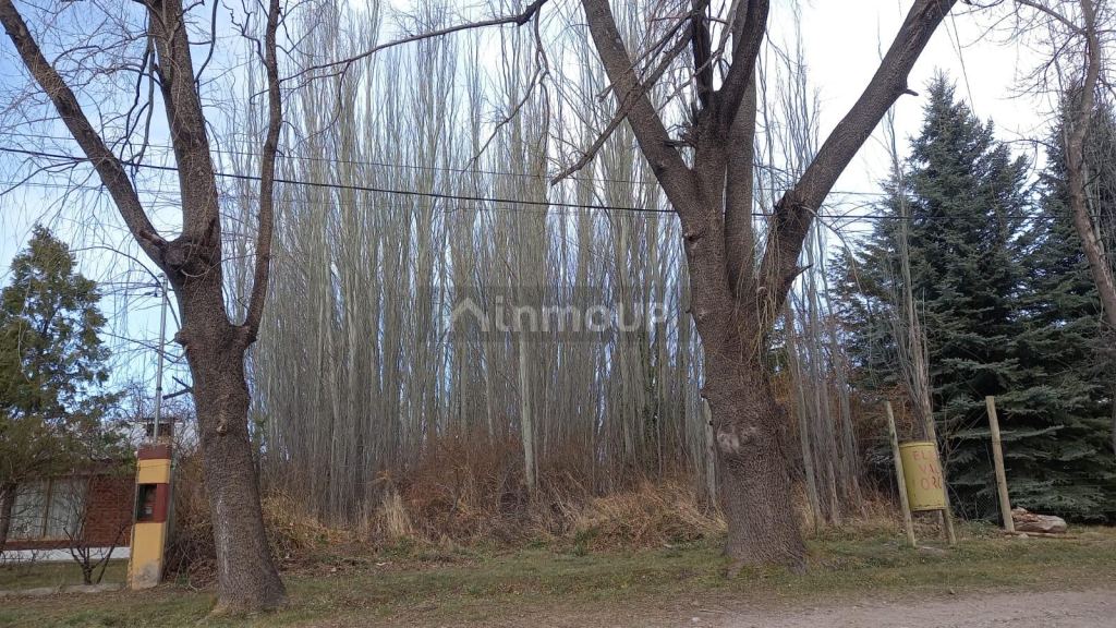 Lote en Venta en Tunuyan, Mendoza