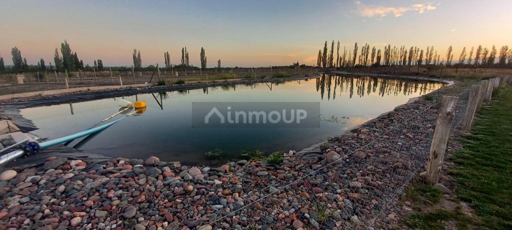 Departamento en Venta en Lujan de Cuyo, Mendoza