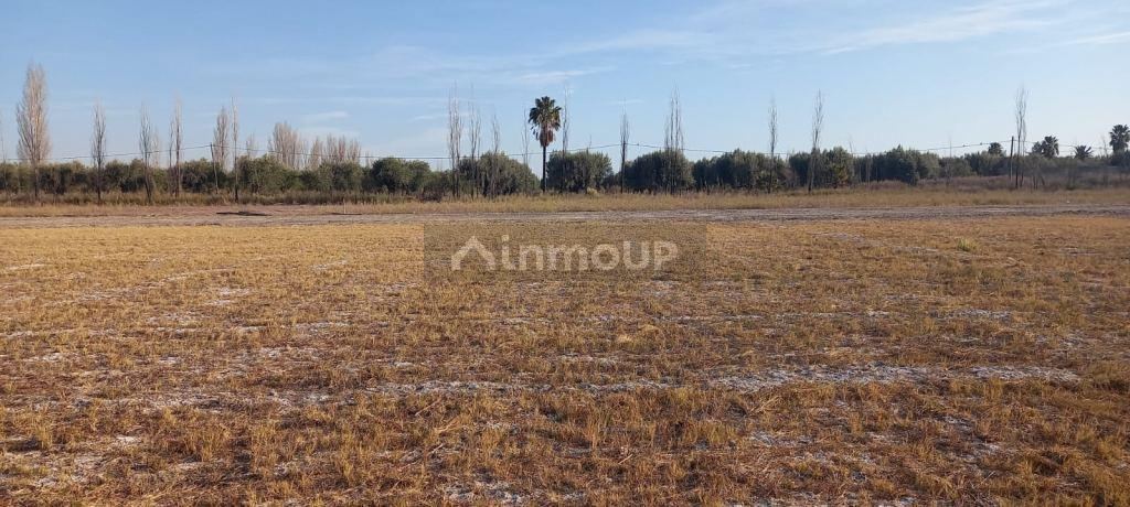 Lote en Venta en Maipu, Mendoza