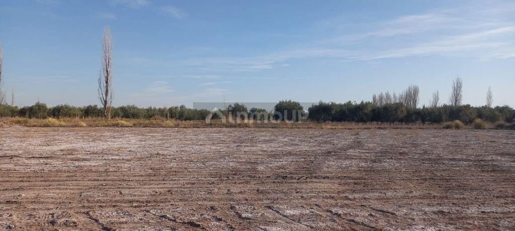 Lote en Venta en Maipu, Mendoza