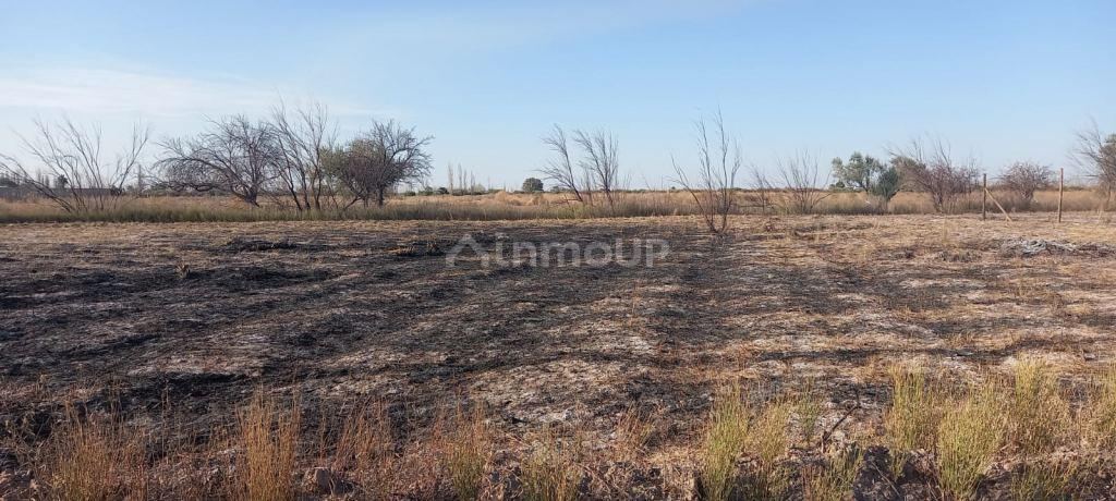 Lote en Venta en Maipu, Mendoza