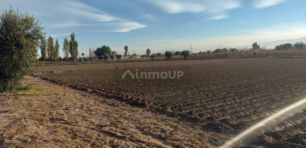 Lote en Venta en Maipu, Mendoza