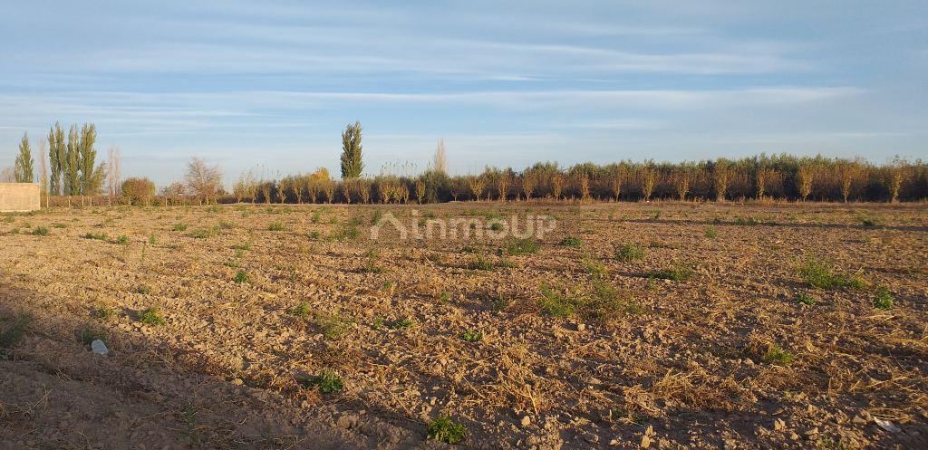 Lote en Venta en Maipu, Mendoza