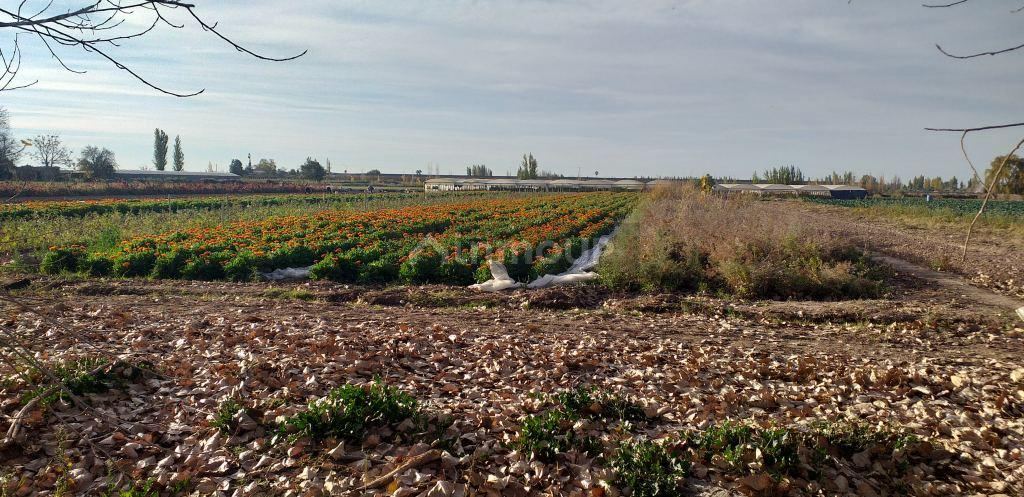 Lote en Venta en Maipu, Mendoza