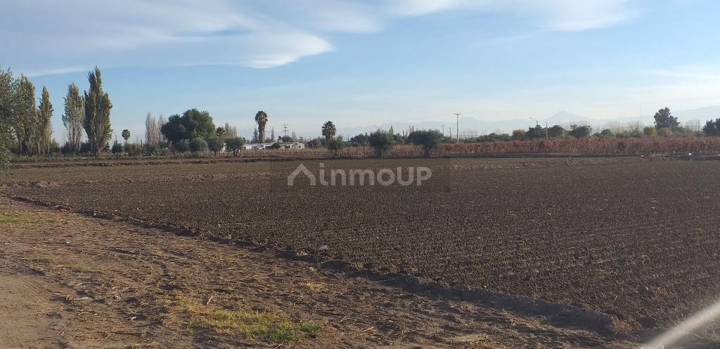 Lote en Venta en Maipu, Mendoza