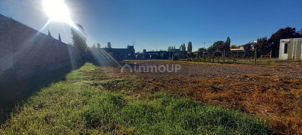 Lote en Venta en Lujan de Cuyo, Mendoza