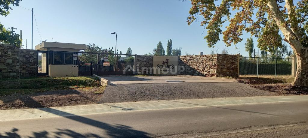 Lote en Venta en Lujan de Cuyo, Mendoza