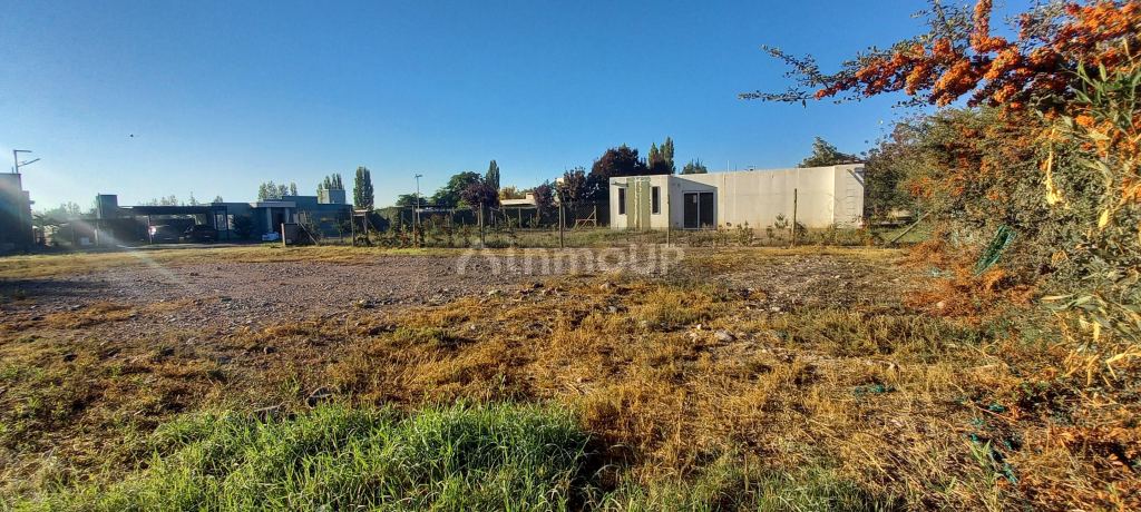 Lote en Venta en Lujan de Cuyo, Mendoza