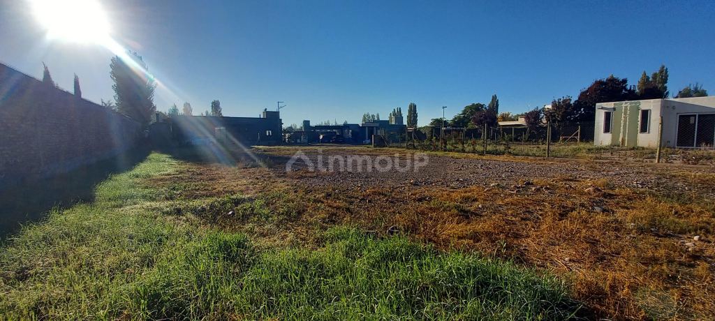 Lote en Venta en Lujan de Cuyo, Mendoza