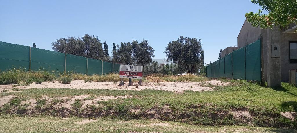 Lote en Venta en Lujan de Cuyo, Mendoza