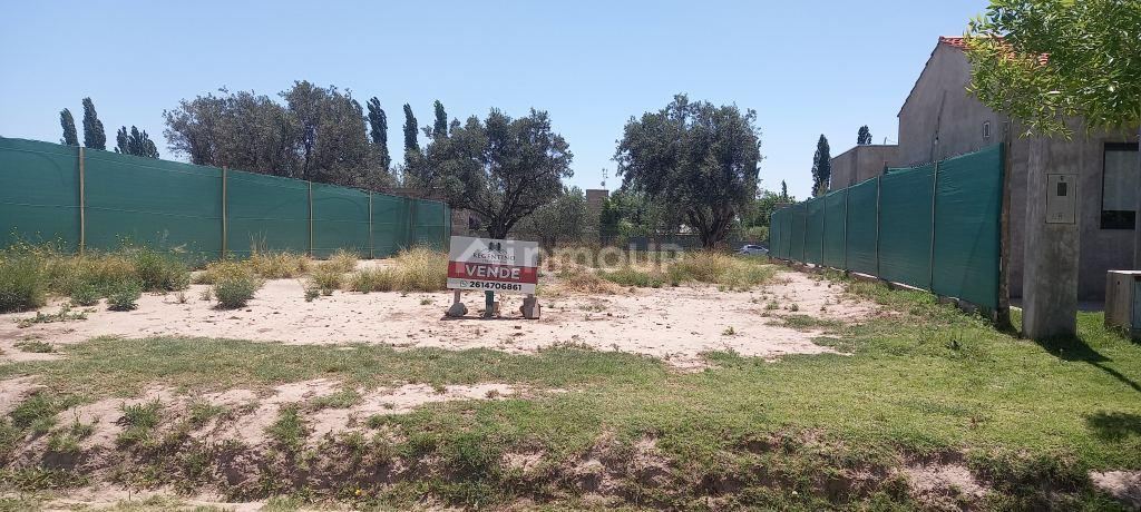 Lote en Venta en Lujan de Cuyo, Mendoza