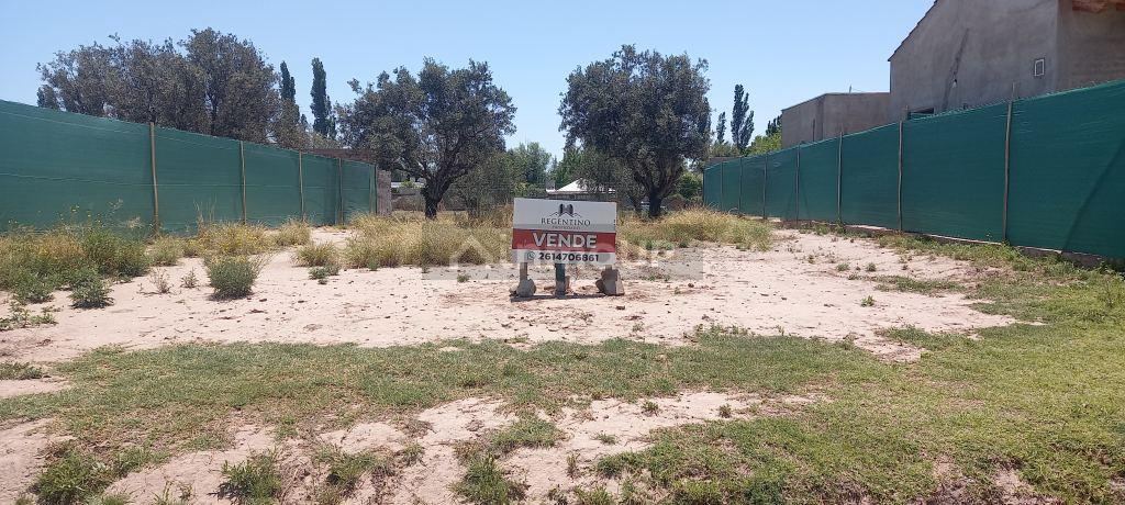 Lote en Venta en Lujan de Cuyo, Mendoza