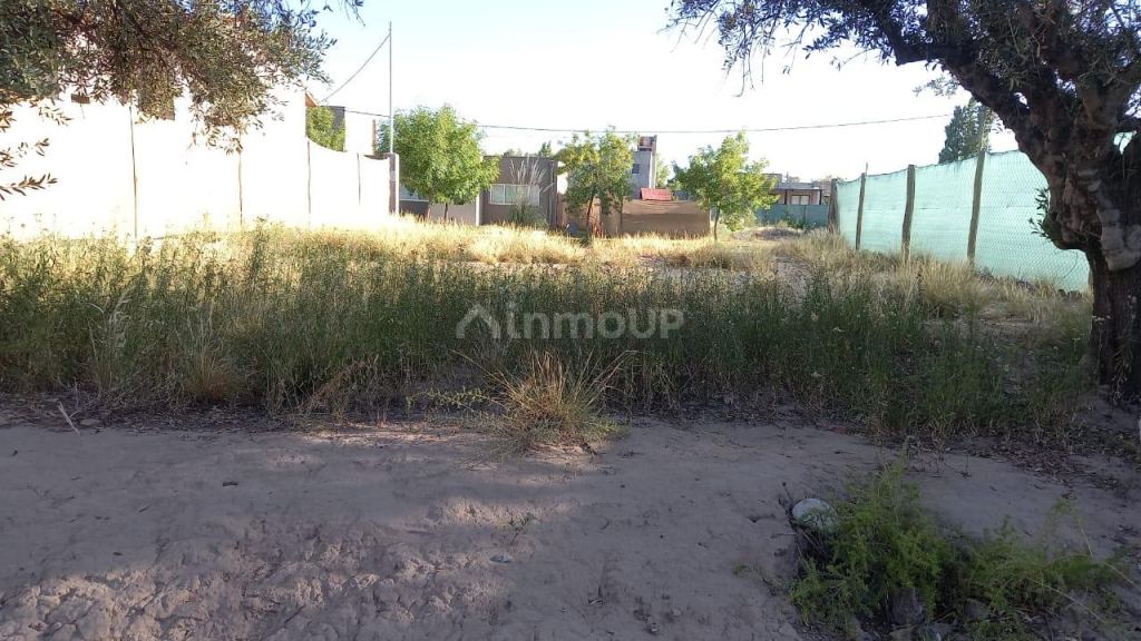 Lote en Venta en Lujan de Cuyo, Mendoza
