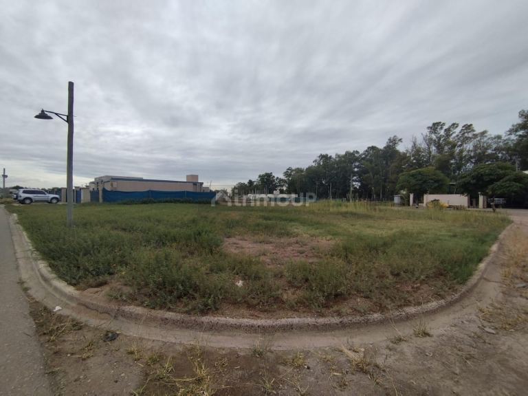 Lote en Venta en Guaymallen, Mendoza