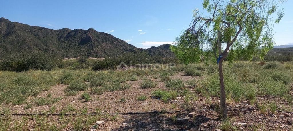 Lote en Venta en Las Heras, Mendoza