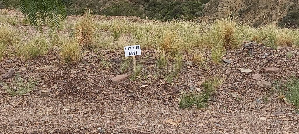 Lote en Venta en Las Heras, Mendoza