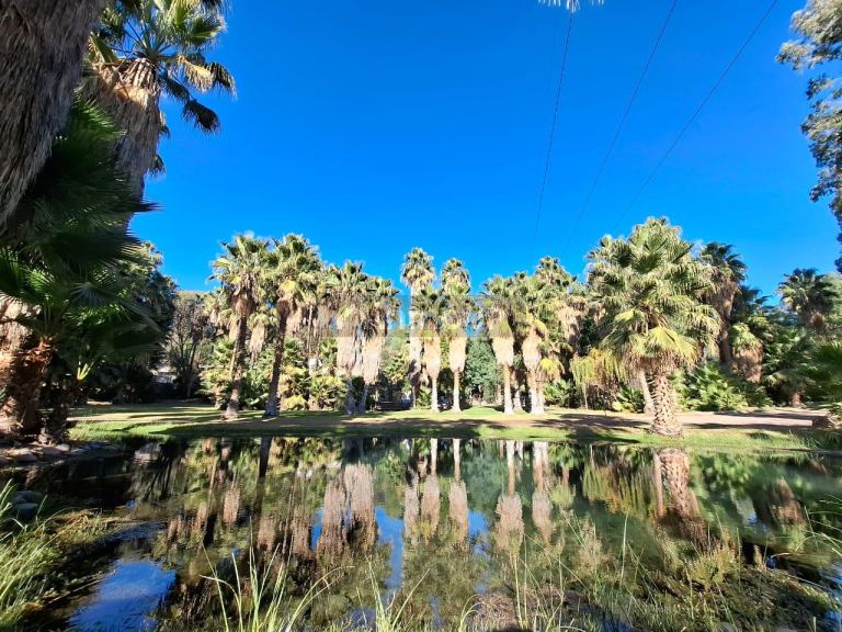 Finca en Venta en Lujan de Cuyo, Mendoza