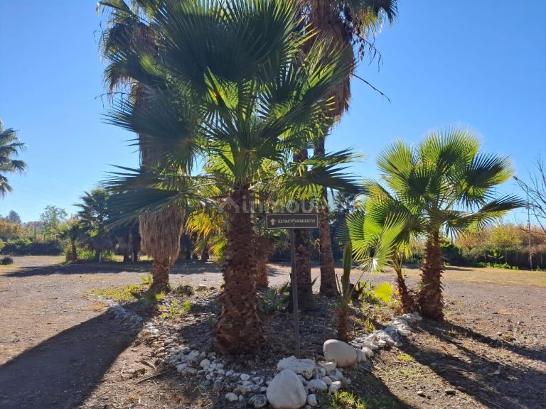 Finca en Venta en Lujan de Cuyo, Mendoza